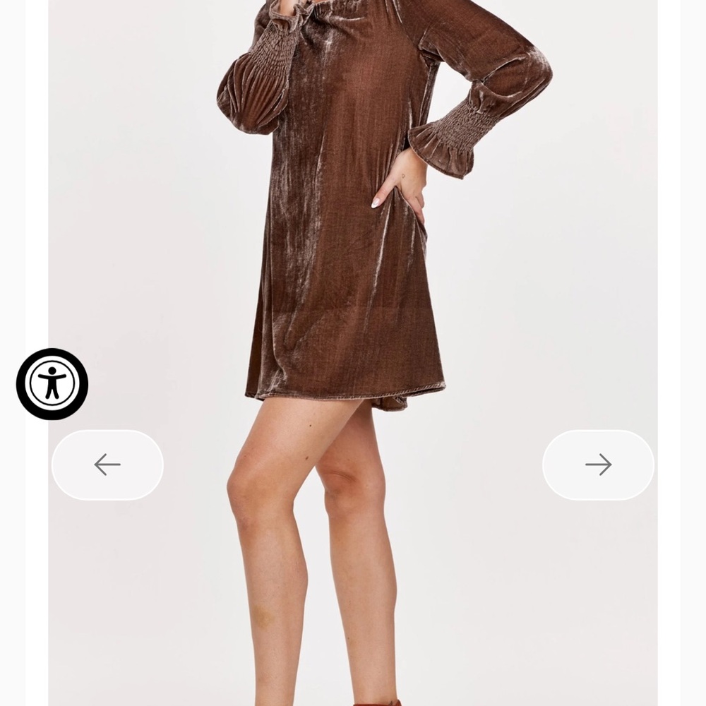 Dear John Velvet Long Sleeve Dress